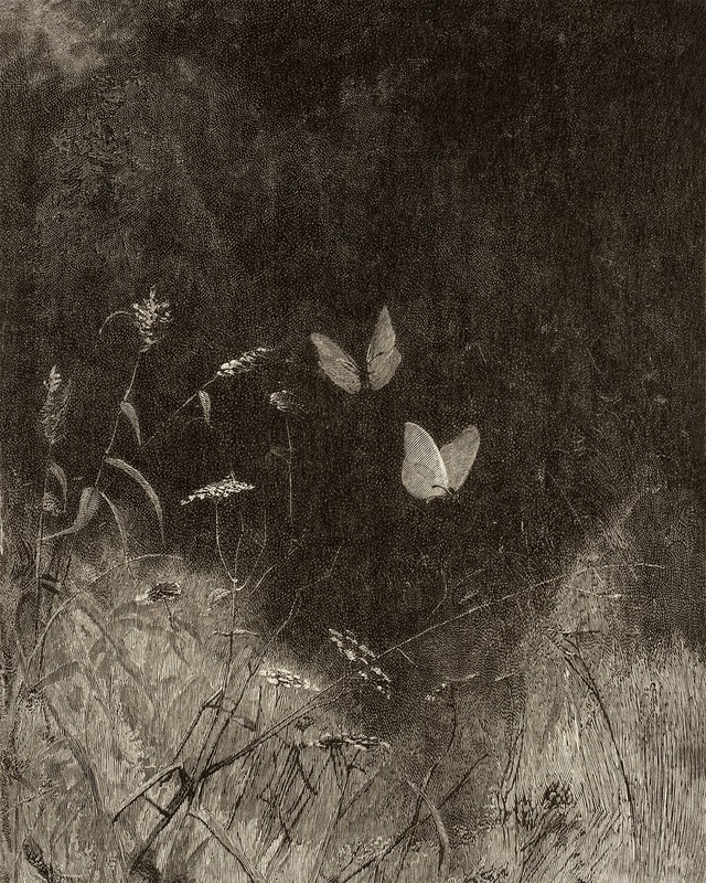 1800s Butterfly Etching Drawing Giclee Print on Fine Art Paper