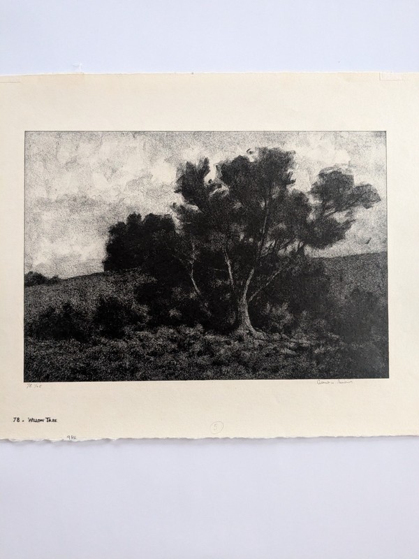Barker, Albert Winslow (1874-1947) Willow Tree, Pencil Signed Lithograph ed. 125