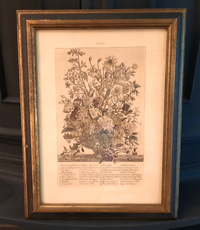 VTG Robert Furber 12 Months of Flowers June Professionally Framed 13″ x 10″