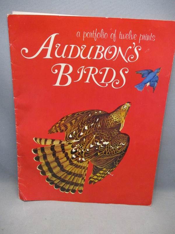 A Portfolio of 10 Prints Audubon’s Birds Large Prints With Cover 14 x 18”