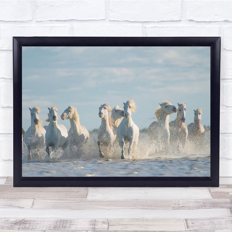 Angels Of Camargue France Horse Workshop Animals Wall Art Print