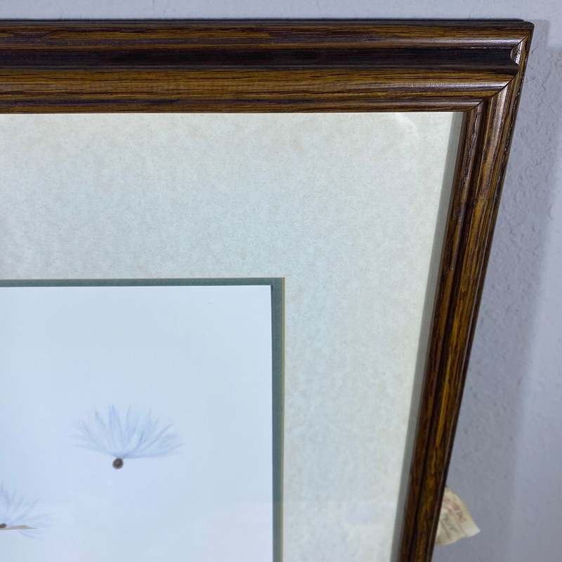 Brenda Carter Marsh Wren & Sedge Hand-Colored Print 43/195 Framed 24x27.5 Bird gallery