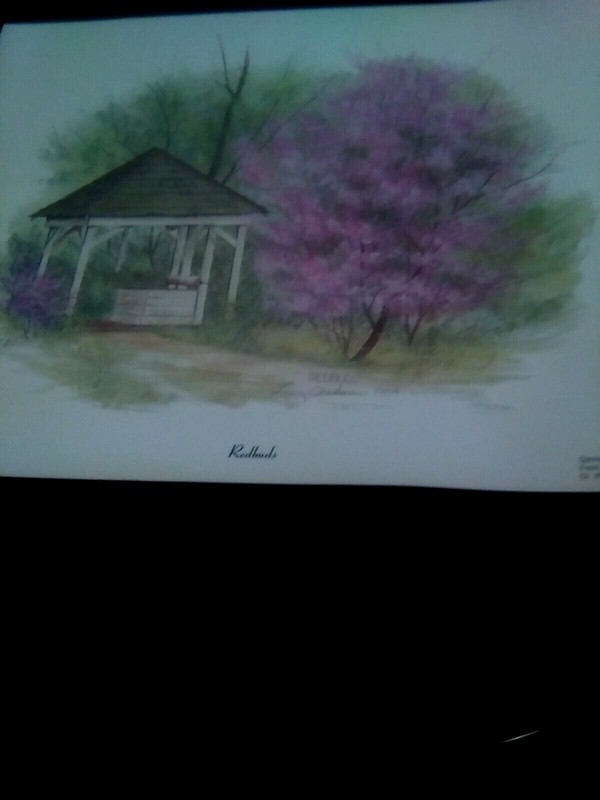 Larry Dodson 1984 "Redbuds" original signature Print-see special in description gallery