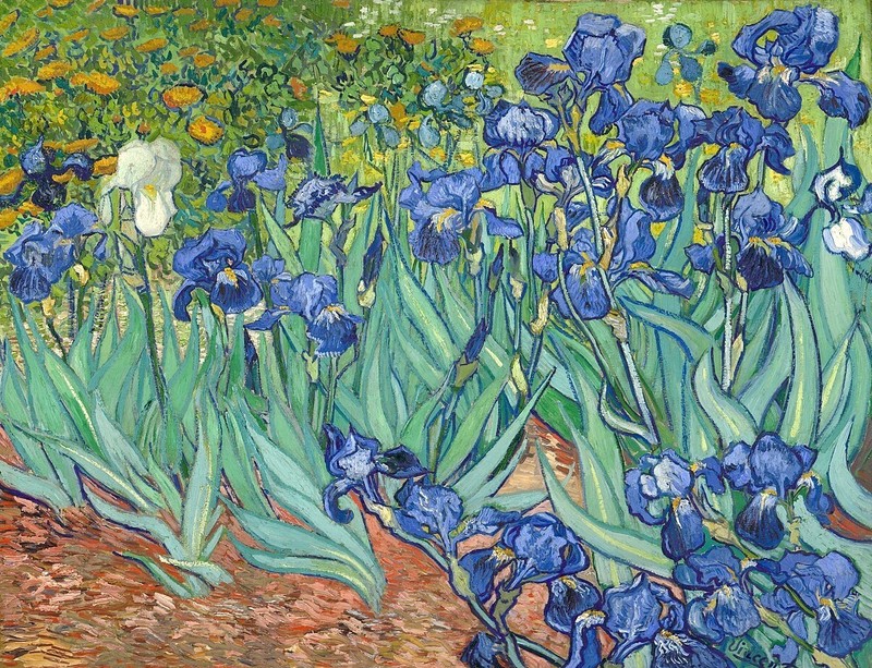 Vincent van Gogh «Irises» On Fine Art Canvas, Ceramics, and Tiles, Home Décor
