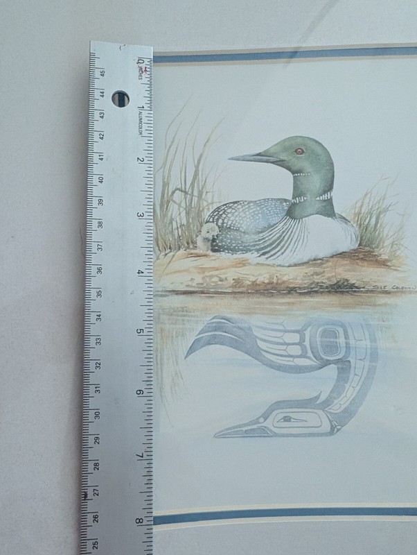 Sue Coleman “The Loon” Framed Print 8.5x6.5in print on a 14" x11" Matt Sealed gallery