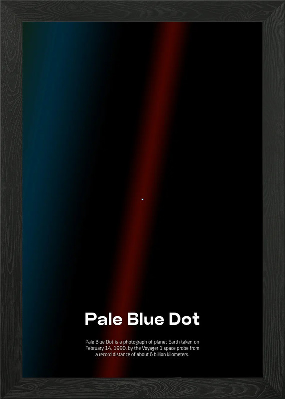 Pale Blue Dot art Framed Wall Art Poster Canvas Print Picture