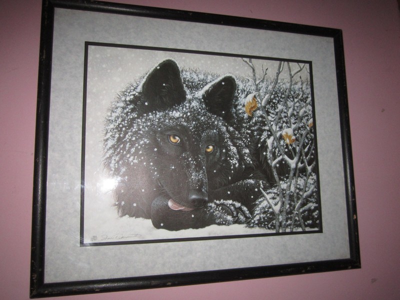 Signed & Numbered Shane Dimmick Black Wolf Framed Print 980/1500 18 1/4″X15 1/4″