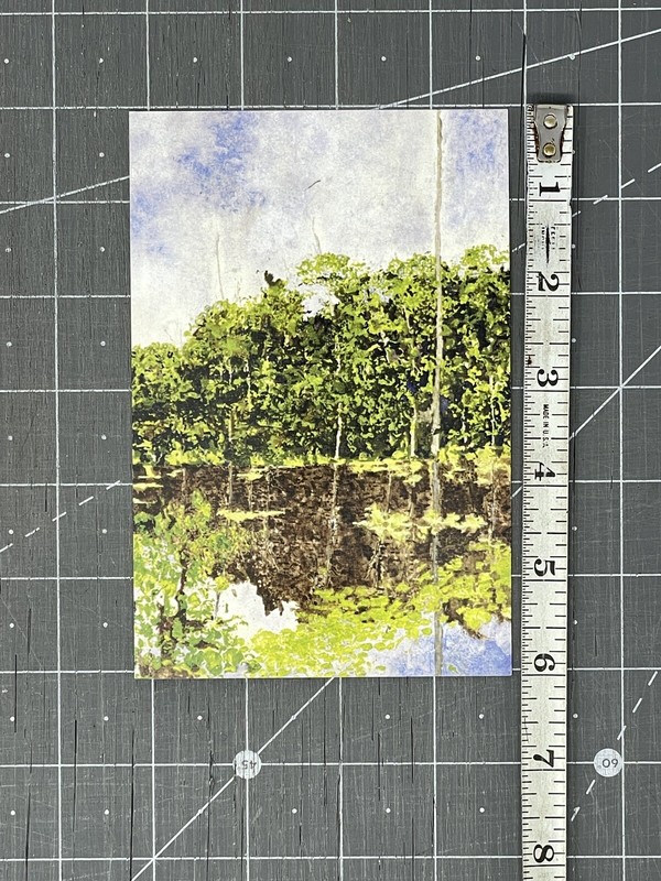 Ellen Halloran Art Show Announcement Card 2008 - Peru Amazon Paintings gallery