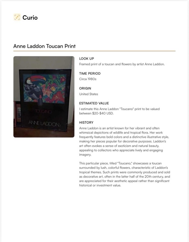 Anne Laddon Framed Toucan Flowers Print Paper, 1980-1989, United States gallery