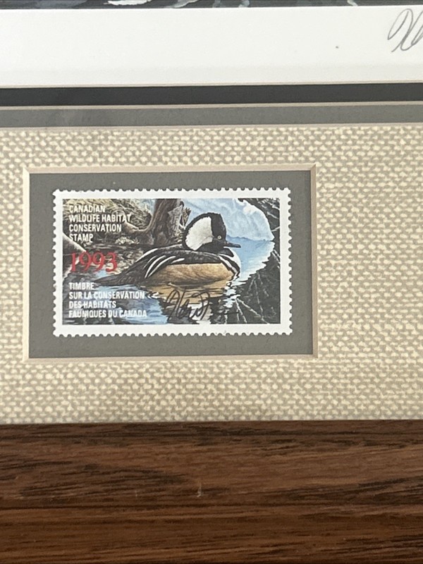 Framed 18 x 15.5 1993 Canada Hooded Merganser Signed Print & Stamp Ken Ferris gallery