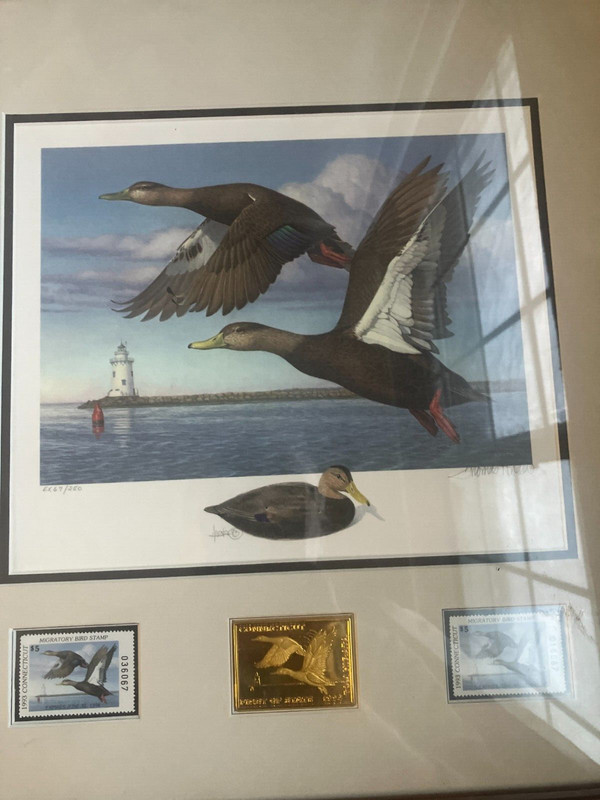 Connecticut Duck Print Medallion Edition ex 67/250 Framed. First of State