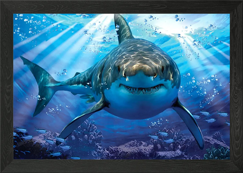 Great White Shark Framed Wall Art Poster Canvas Print Picture