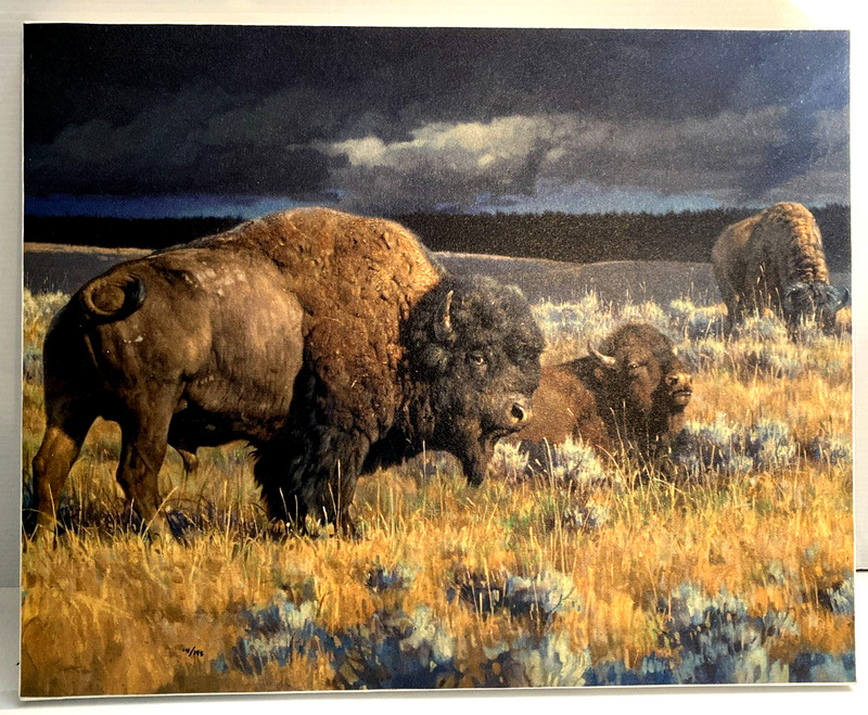 Nancy Glazier "Restless" Mastergraphics on Canvas Cameo Buffalo Bison COA 14/195
