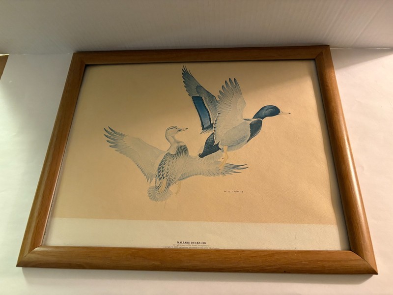 Mallard Ducks Take Flight, Signed Lithograph M.G. Loates Canada Artist Framed