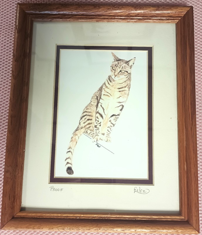 Art - Adorable Cat Picture- One Of A Kind - PROOF