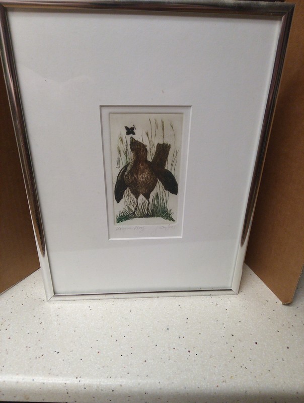 Unique Proof Print Intaglio Wildlife Art Signed Bird Etching Frame
