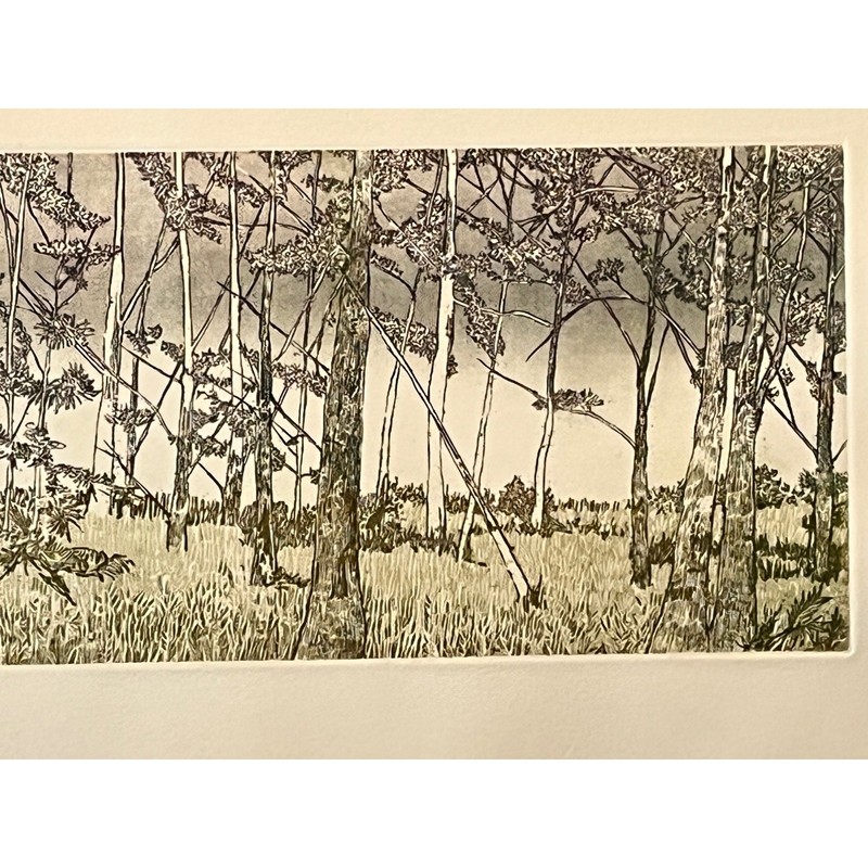 Ruth Leaf Signed Etching "Ballet for 26 Trees" 29x22 Ltd Ed 13/200 BFK Rives Art gallery