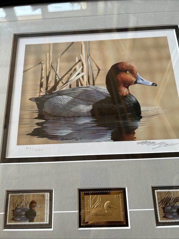 Ducks Unlimited Framed Signed And Numbered Duck Stamp Print gallery