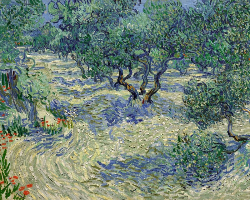 Vincent Van Gogh Olive Orchard Painting Giclee Print on Fine Art Paper