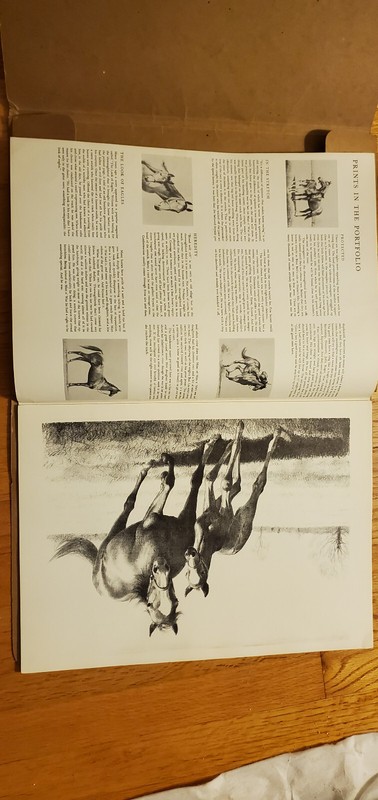 C.W. Anderson vintage bred to run horse prints 1960 gallery