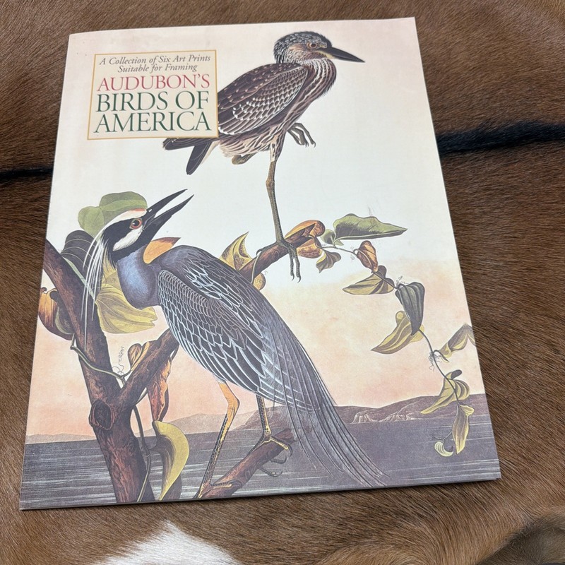 MTB- Audubon’s Birds of America Fine Art Print Portfolio (6) 11×14 Inch Prints