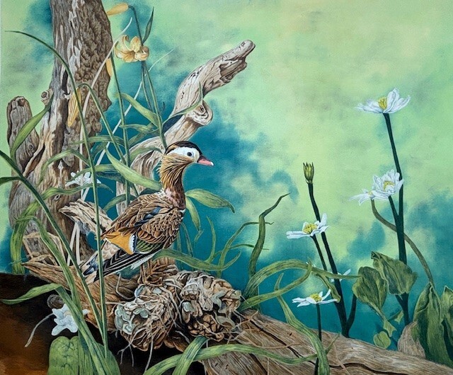 Michael Budden "Mandarin Duck" Hand Signed Limited Edition Bird Wildlife Art NEW gallery