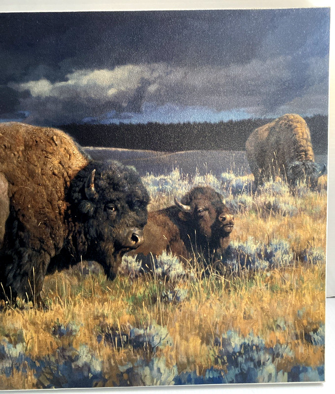 Nancy Glazier "Restless" Mastergraphics on Canvas Cameo Buffalo Bison COA 14/195 gallery