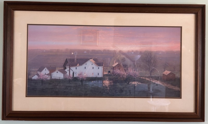 Dawn/Sunset Pink Rain Framed Print Cherry Blossoms Mennonite Amish Buggy Barns
