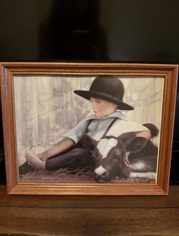 Signed Nancy Noel Amish Boy With Calf Framed Art Print 11”x14”