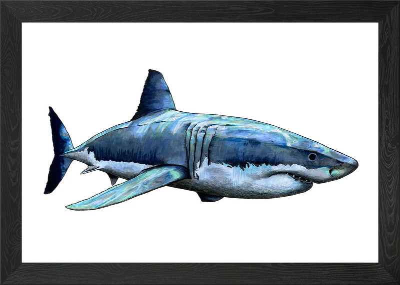 GREAT WHITE SHARK Framed Wall Art Poster Canvas Print Picture