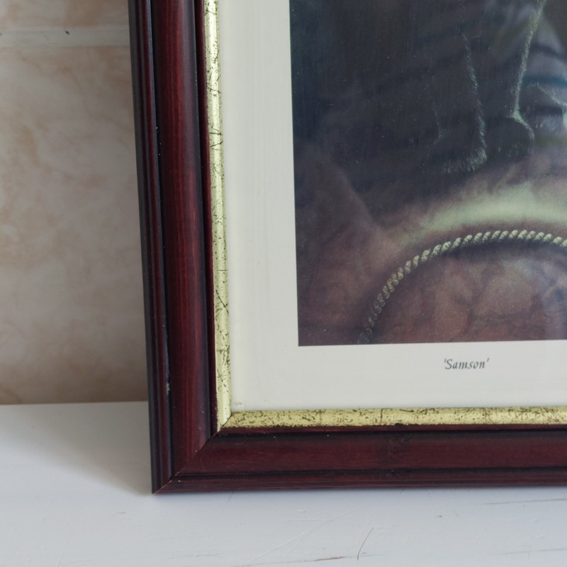 Sheila Tilmouth Samson Cat Art Print Black Cat Feline Framed Glazed Wall Gallery gallery