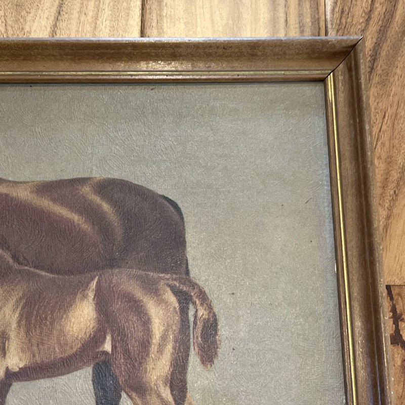 Antique Framed Art Horse Mare & Foal CW Anderson gallery