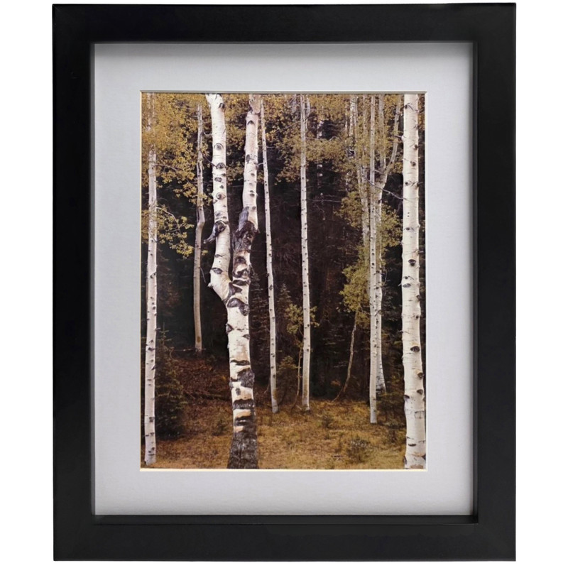 ANSEL ADAMS “Aspens Northern New Mexico” Framed American Landscape Art Print
