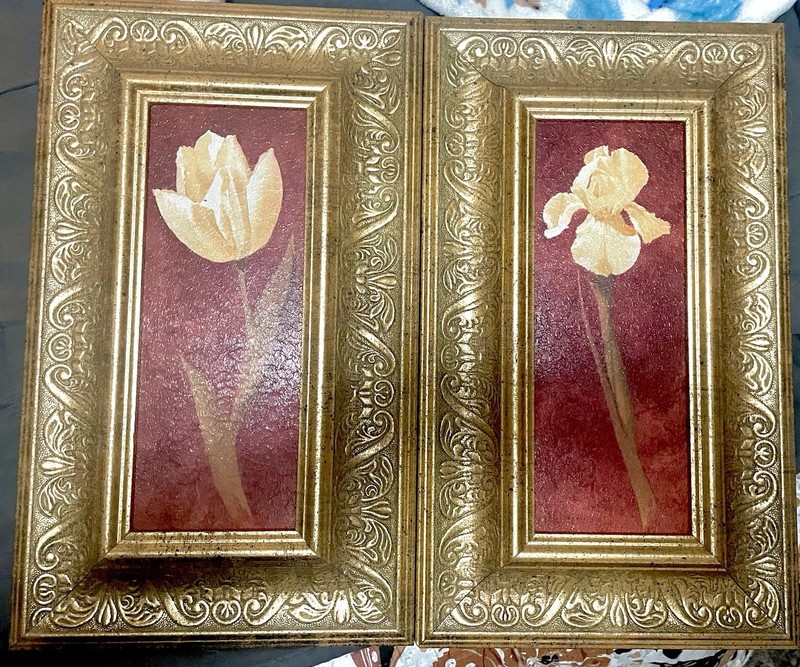 Floral Textured Print Antique Gold Framed Pics – Set of 2