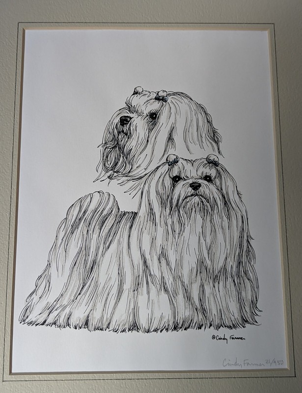 Cindy Farmer Maltese Series Numbered Pen &Ink Signed Print 8"x6" matted 12"x 9" gallery