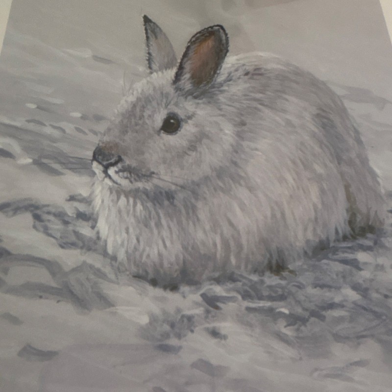 Jon Van Zyle Snow Bunny Signed Art Print Rabbit Realism Paper Contemporary 2009 gallery