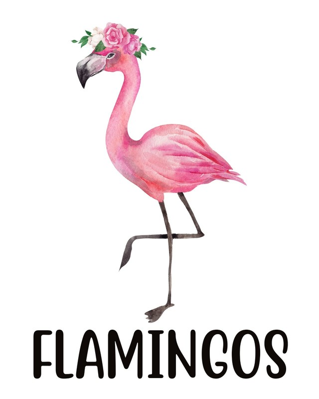Set of 3 FLAMINGO Peace Love Flamingo Unframed Wall Art Prints Think Pink Decor gallery