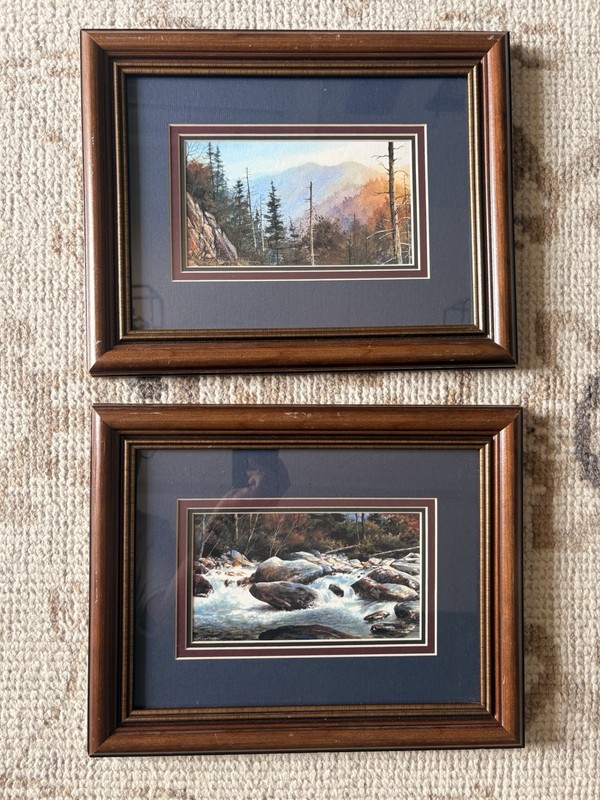 2 Don Ringstrom Signed Prints? Great Smoky Mountains Creek Trees Framed Art