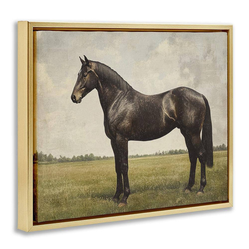 Espresso Horse Portrait by Petal Prints Design 1 Piece Gold Floater Frame Animal gallery