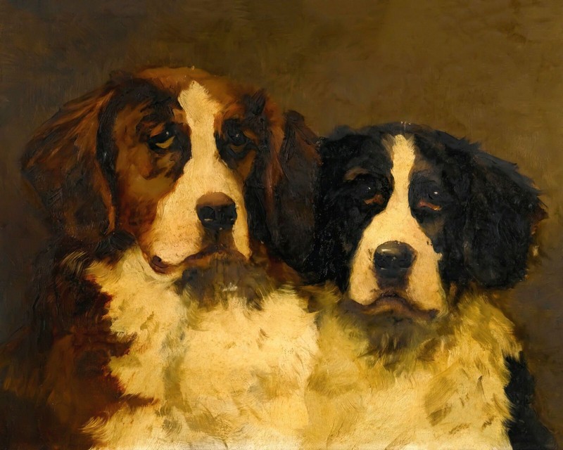 1800s Saint Bernard Dog Vintage Painting Giclee Print on Fine Art Paper