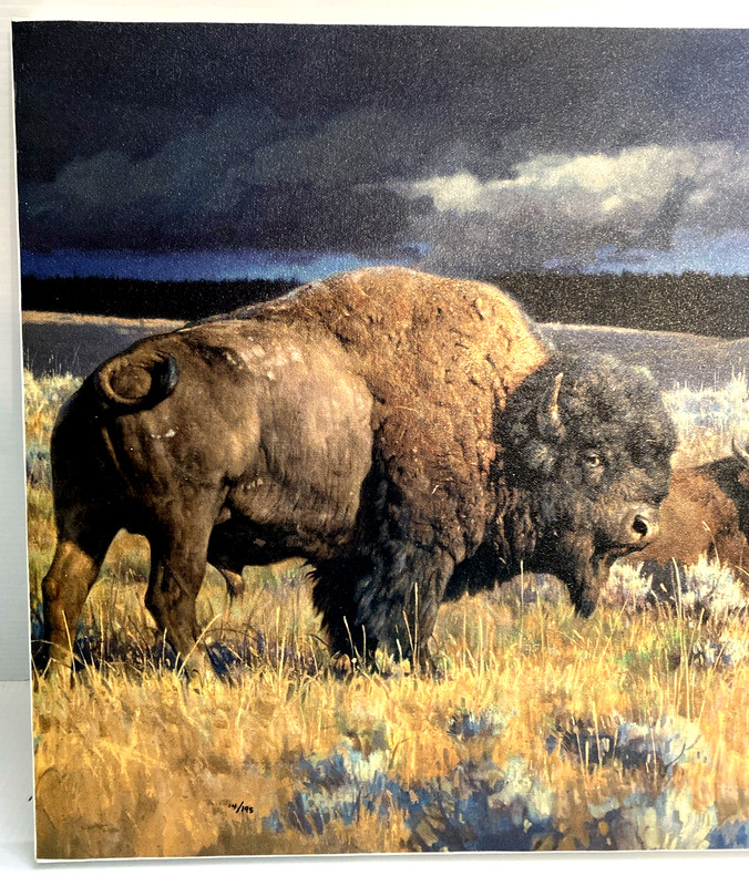 Nancy Glazier "Restless" Mastergraphics on Canvas Cameo Buffalo Bison COA 14/195 gallery