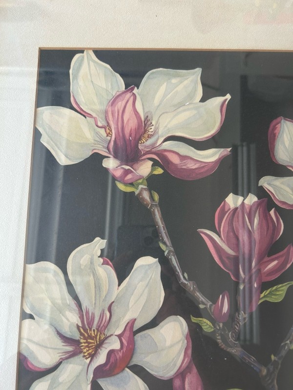 Vtg Mid Century 1950’s 60’s Magnolia Floral Lithograph Print Helene Thompson gallery