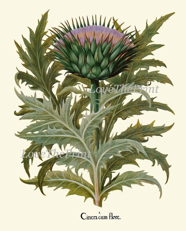 Botanical Prints Wall Art Decor Set of 4 Beautiful Antique Vintage Unframed gallery