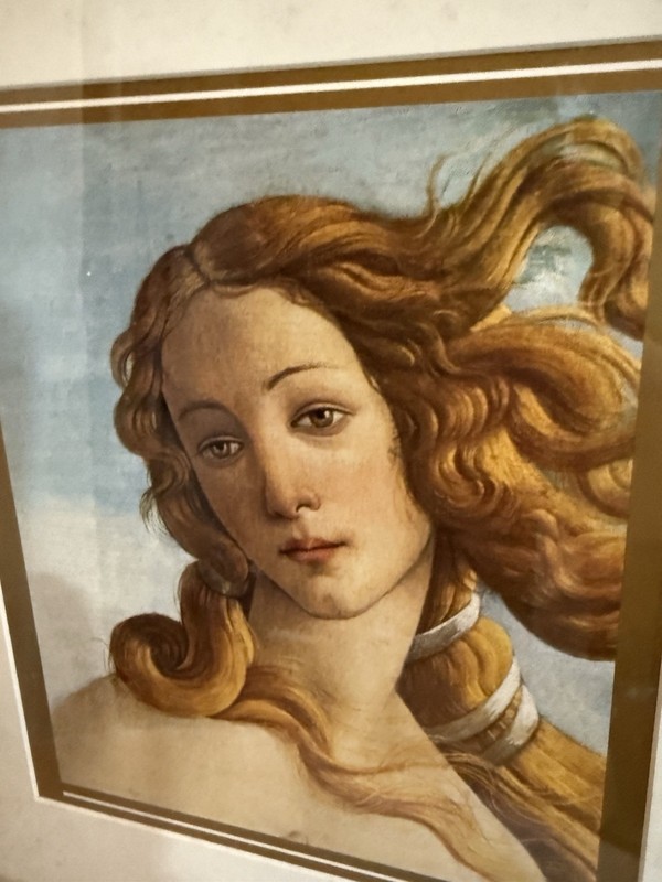 ⚜️ The Birth Of Venus 1991 French Lithograph Print Framed ⚜️ gallery
