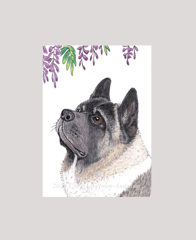 ACEO Print Akita Dog Pet Portrait Illustration by Cheryl Andrade