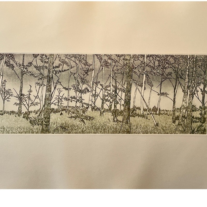 Ruth Leaf Signed Etching "Ballet for 26 Trees" 29x22 Ltd Ed 13/200 BFK Rives Art gallery