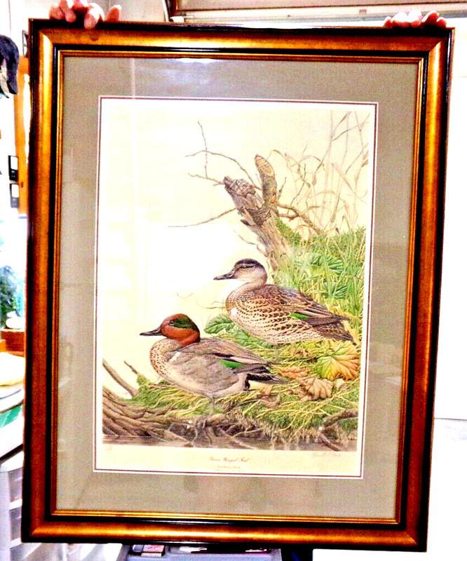1984 Ducks Unlimited Canada GREEN WINGED TEAL Print #2388/4300 BIG 40×30