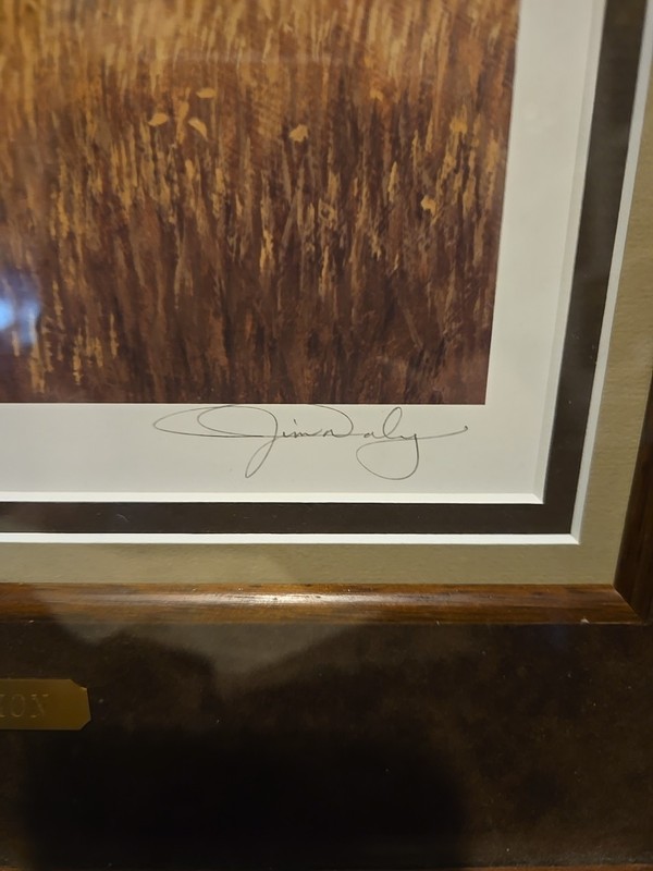 "The Confrontation" By Jim Daly Limited Print 151/1500 Matted & Framed See Pics gallery