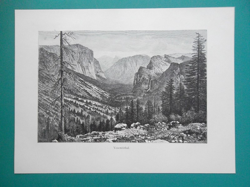 YOSEMITE VALLEY California - 1882 German Print Xylograph