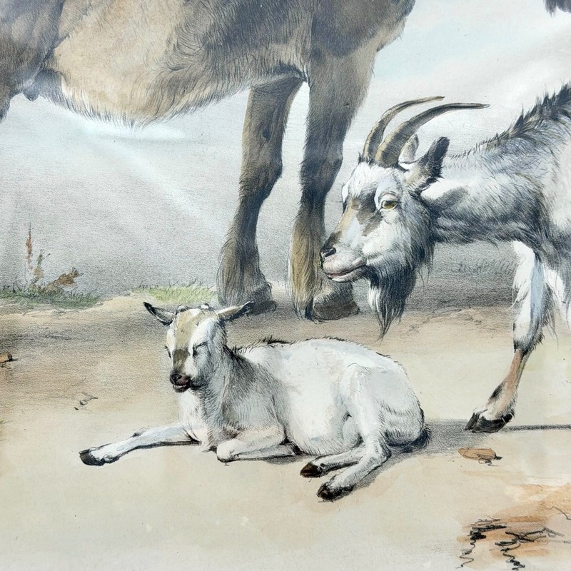 Thomas Sidney Cooper Art Print 24x20 Paper Antique Litho Horse Goats 1839 gallery